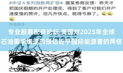 专业股票配资论坛 美国对2025年全球石油需求增速的预估近乎国际能源署的两倍